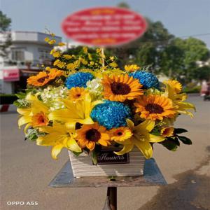 Giỏ hoa tươi chúc mừng TH022