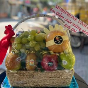 Giỏ trái cây nhập khẩu GTC2307