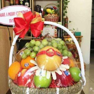 Giỏ trái cây nhập khẩu GTC2311