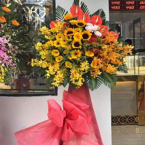 Kệ hoa chúc mừng khai trương HKT202037