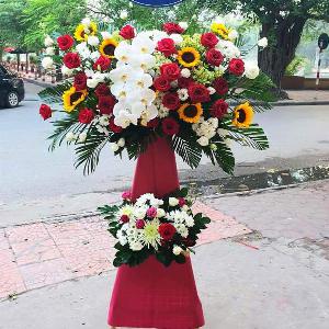 Kệ hoa chúc mừng khai trương HKT202051