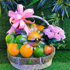 Giỏ trái cây quà tặng TCM2119