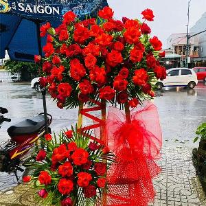 Hoa chúc mừng khai trương HKT2304