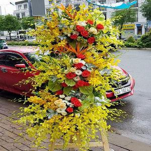 Hoa chúc mừng khai trương HKT201953