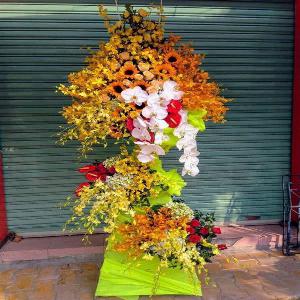 Hoa chúc mừng khai trương HKT201957