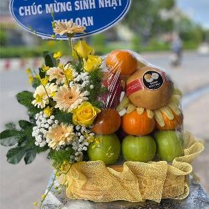 Giỏ trái cây GTC2437