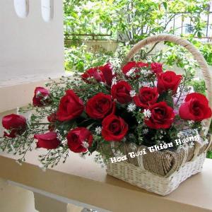 Bó hoa tươi chúc mừng HCM1936