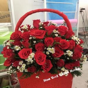 Bó hoa tươi chúc mừng HCM1939