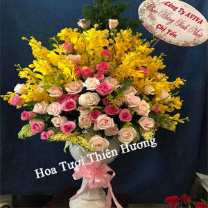 Hoa Tặng Sếp, Giám đốc HTS2803