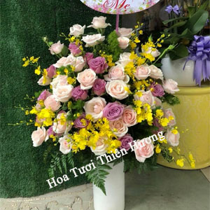 Hoa Tặng Sếp, Giám đóc HTS2808