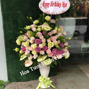 Hoa Tặng Sếp, Giám đóc HTS2810