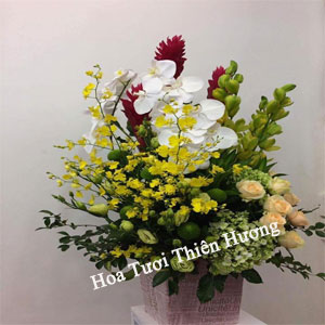 Hoa Tặng Sếp, Giám đóc HTS2816