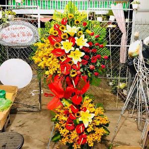 kệ hoa chúc mừng khai trương HKT202005