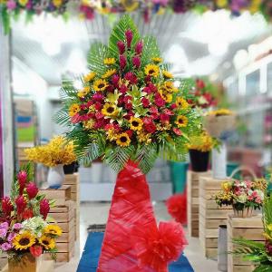 kệ hoa chúc mừng khai trương HKT202008