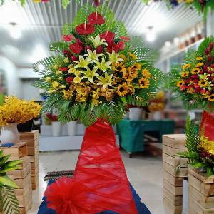 kệ hoa chúc mừng khai trương HKT202009