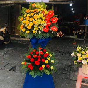 kệ hoa chúc mừng khai trương HKT202017