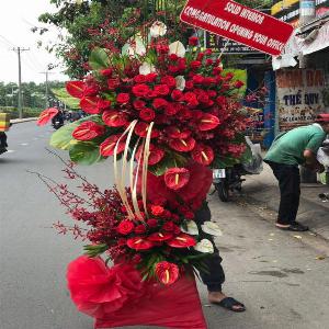 Hoa chúc mừng khai trương HKT201930