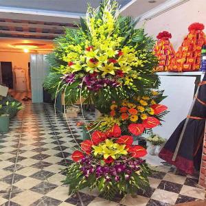 Hoa chúc mừng khai trương HKT201931