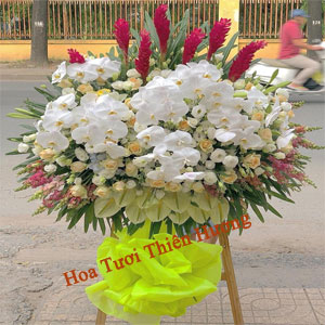 Hoa Chúc Mừng Khai Trương HKT2808