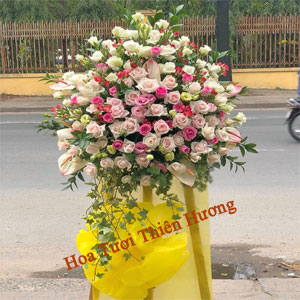 Hoa Chúc Mừng Khai Trương HKT2811