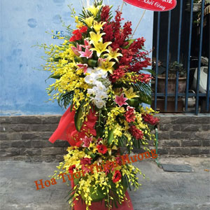 Hoa Chúc Mừng Khai Trương HKT2816