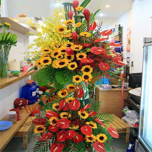 Hoa Chúc Mừng Khai Trương HKT2821