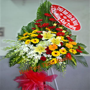 Hoa Chúc Mừng Khai Trương HKT2824