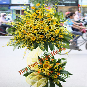 Hoa Chúc Mừng Khai Trương HKT2825