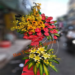 Hoa Chúc Mừng Khai Trương HKT2827