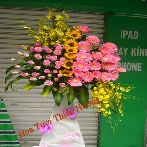 Hoa Chúc Mừng Khai Trương HKT2828