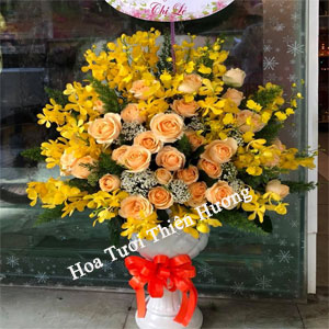 Hoa Tặng Sếp, Giám Đốc HTS2805