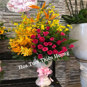 Hoa Tặng Sếp, Giám Đốc HTS2807