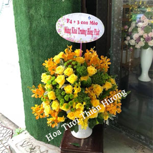 Hoa Tặng Sếp, Giám Đốc HTS2811