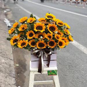 Giỏ hoa tươi chúc mừng HCM202097