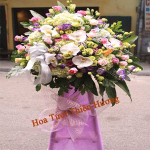 Hoa Chúc Mừng Khai Trương HKT2803