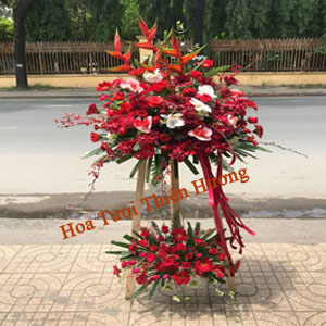 Hoa Chúc Mừng Khai Trương HKT2807