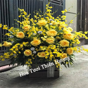 Hoa Tặng Sếp, Giám Đốc HTS2813