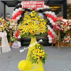 hoa chúc mừng khai trương HKT2847