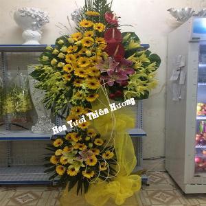 hoa chúc mừng khai trương HKT2855