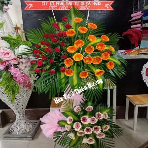hoa chúc mừng khai trương HKT2861