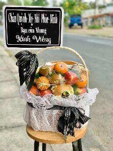 Giỏ trái cây 2509