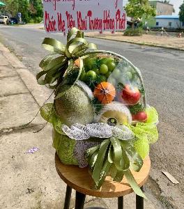 Giỏ trái cây 25232